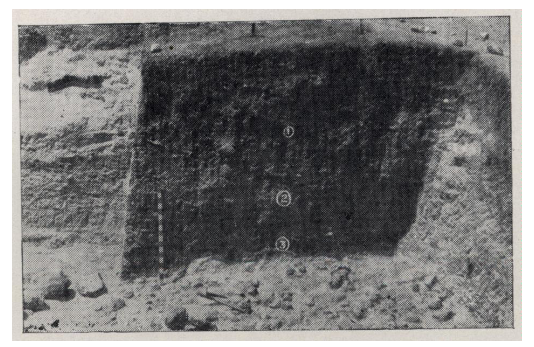 Chirki-Nevasa site in the district where Acheulian-era artifactswere discovered in 1976. Source: Bulletin of the Deccan College Post-Graduate and Research Institute
