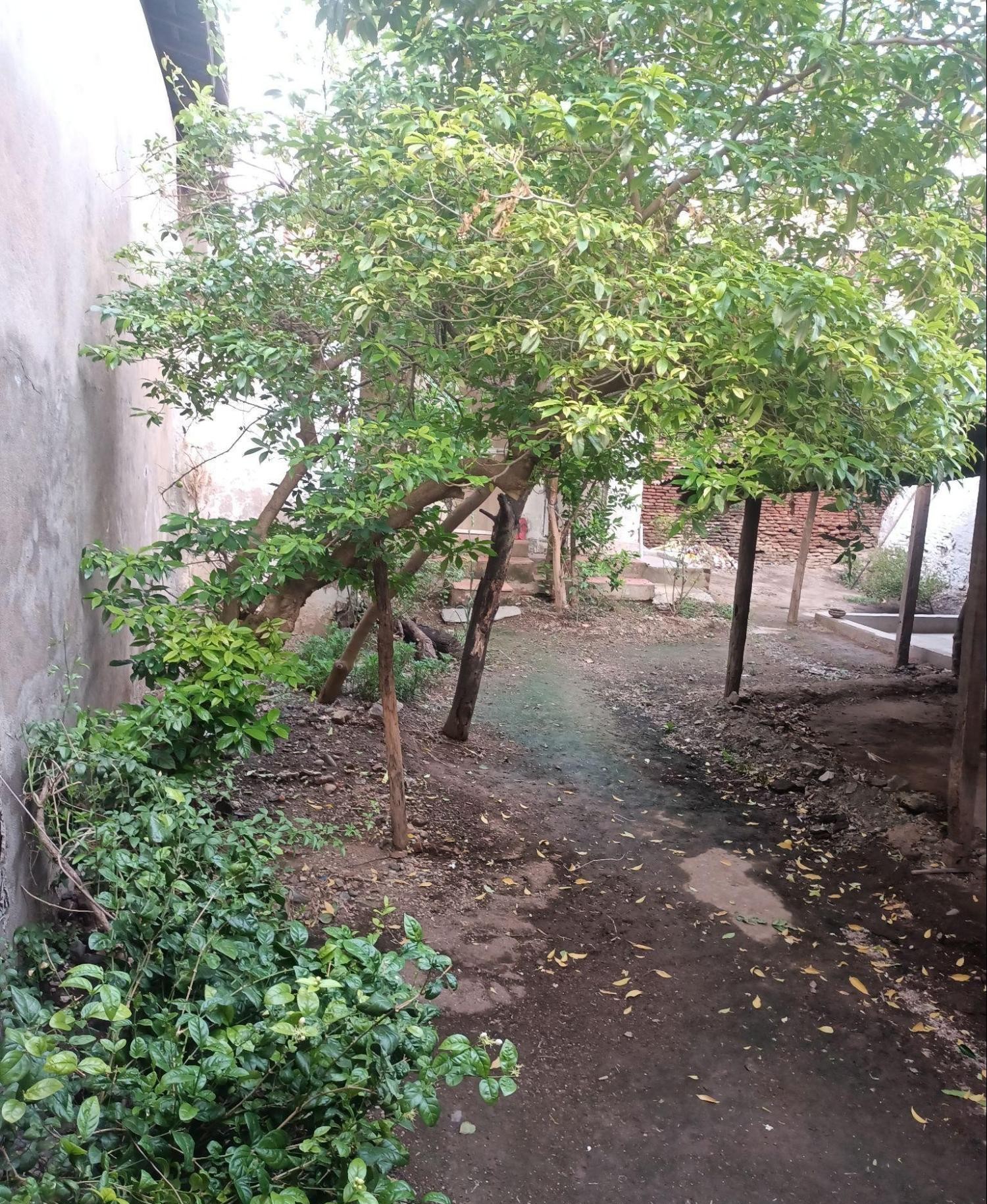 The kitchen garden of the residence. (Source: CKA Archives)