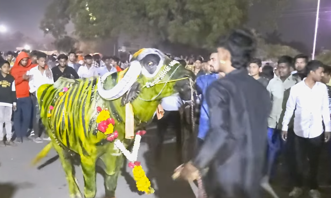 Crowd admiring a decorated bull during Sagar Festival celebrations[2]