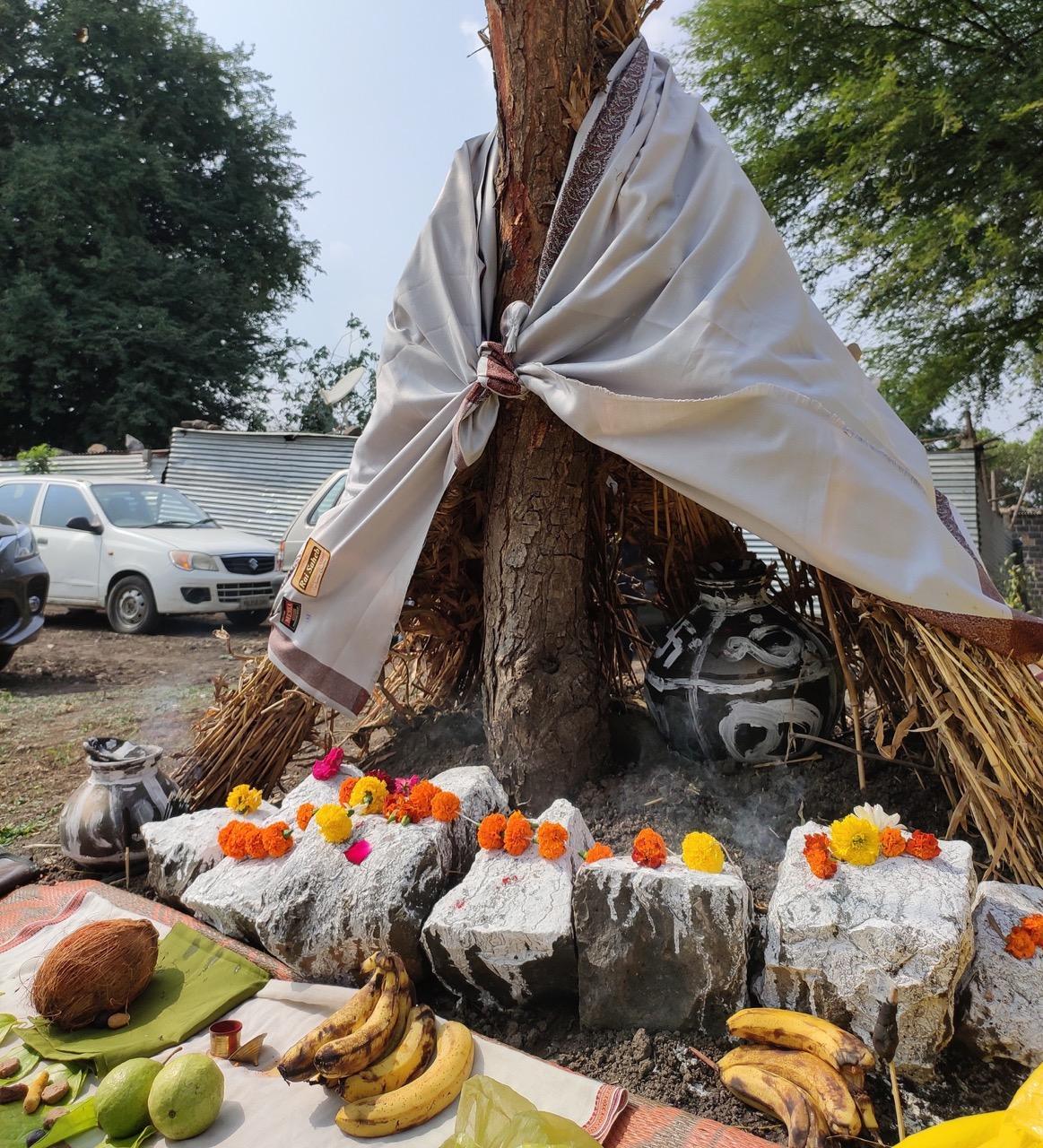 Seven symbolic stones are set in place and decorated, as families gather in the field for the Vel Amavasya puja to honor the land and pray for a bountiful harvest. (Source: CKA Archives)