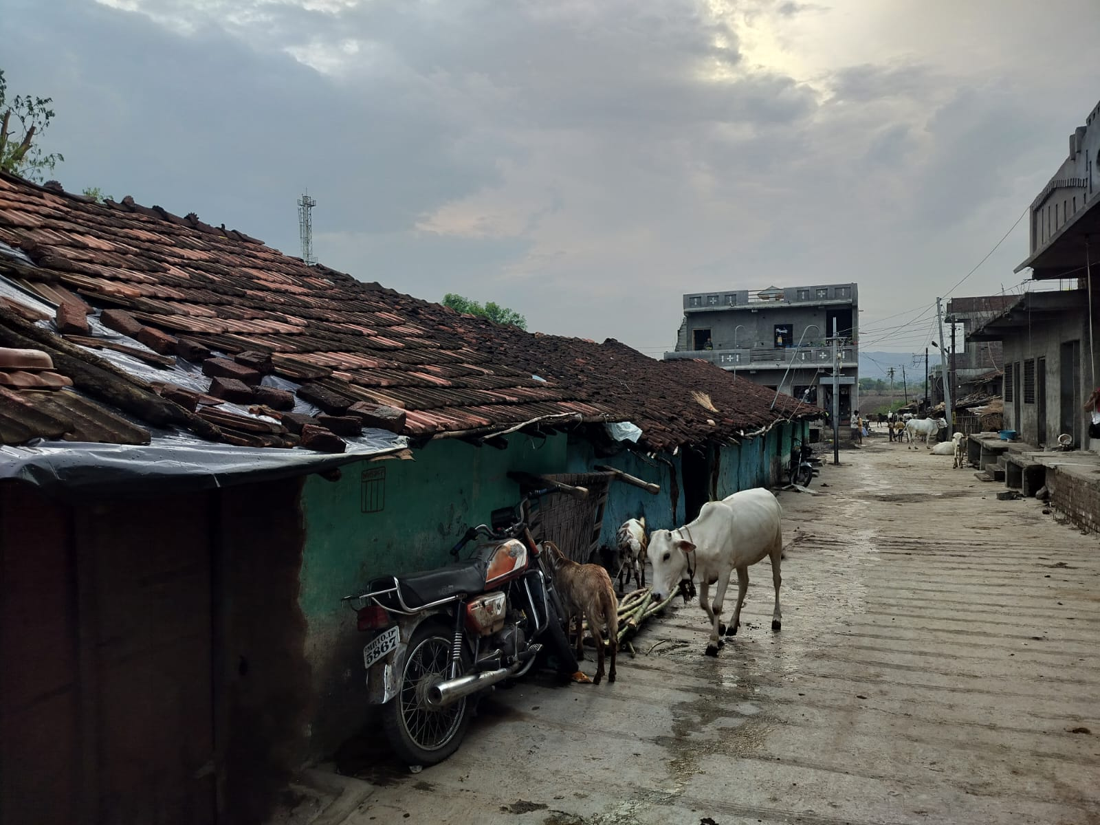 The older homes of a wada juxtaposed against the growing concrete structures. (Source: CKA Archives)