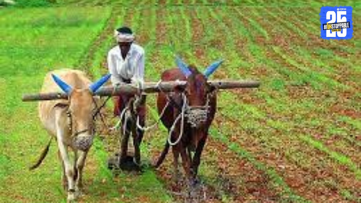 In Sakri Taluka (Dhule district), farmers rely on a network of local agro-dealer shops and service centres—calledKrishi Seva Kendras—for purchasing critical agricultural inputs such as fertilisers, seeds, and pesticides. Distributed across villages, these centres are monitored by the district Agriculture Department to ensure quality. The region’s farming landscape varies between water-scarce zones and better-rained belts, prompting demand for tailored crop inputs. With cropping patterns shifting and modern techniques slowly adopted, these rural input markets serve as the main conduit through which farmers access supplies and technical guidance.[1]