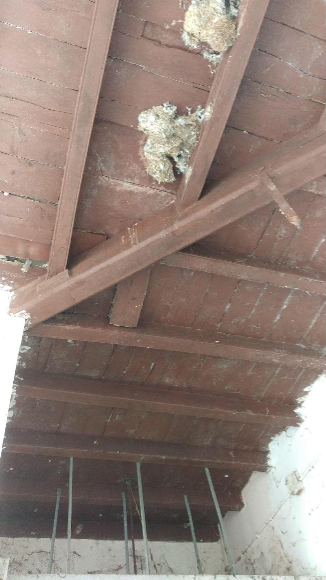Close-up detail of the wooden rafters demonstrating traditional construction techniques. (Source: CKA Archives)