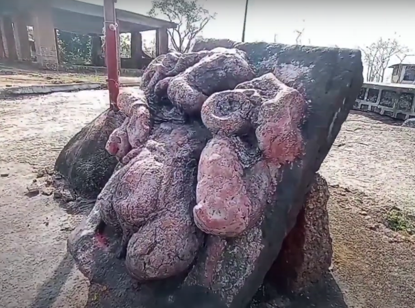 Shri Ganesh sculpture carved on a black rock surface outside the temple. (Source: CKA Archives)