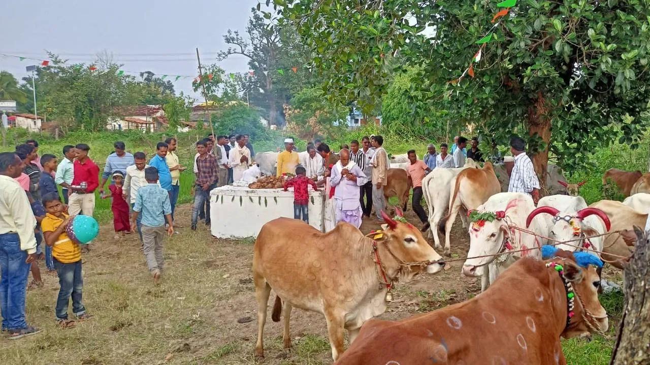 Villagers gathered to celebrate bail pola (Source:CKA Archives)