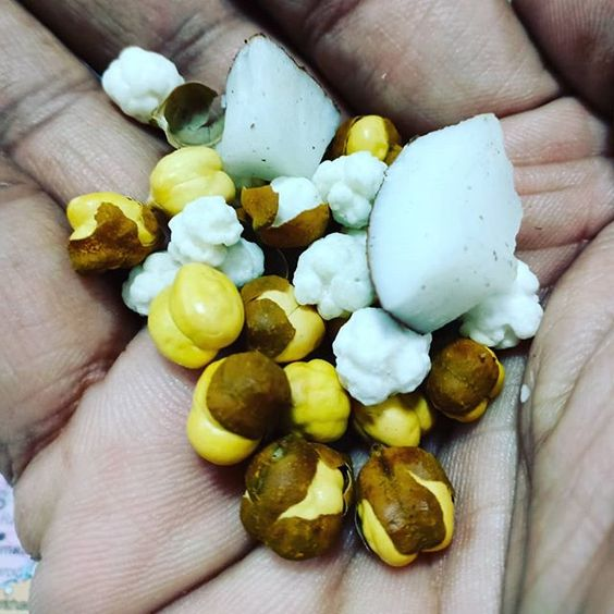 Prasad commondly offered at mandirs in the region, consisting of Chironji and chana.[4]