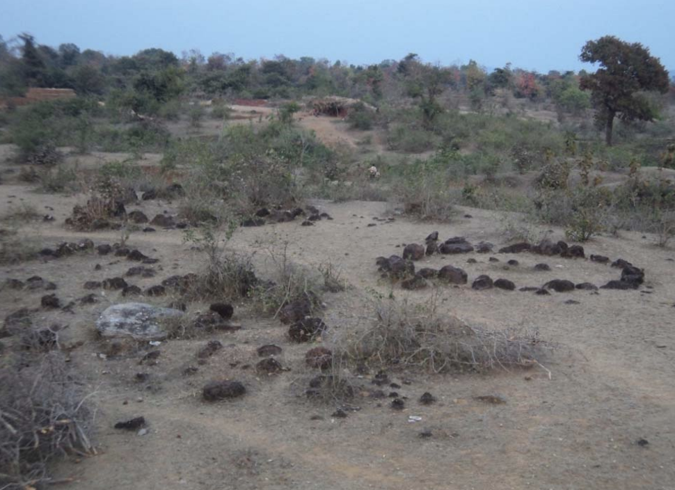 Excavated stone burial structures at Malli, a key Early Iron Age site in Gondia district. Source: Heritage: Journal of Multidisciplinary Studies in Archaeology