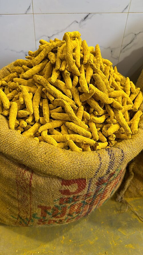 Turmeric from the region is primarily traded through the APMC mandis, especially in Hingoli city, Vasmat, and Basmat. The Hingoli APMC mandi, located near the railway station, handles large volumes of turmeric during peak harvest and trading seasons, particularly from December to April. Farmers bring their produce in gunny bags or tractor-trolleys, and traders inspect the fingers and bulbs for color, dryness, and texture before bidding. Prices generally vary based on grade, moisture content, and seasonal supply-demand dynamics. During peak season, prices can range between ₹10,000 to ₹14,000 per quintal, with top-quality Vasmat Haldi attracting even higher rates.[1]