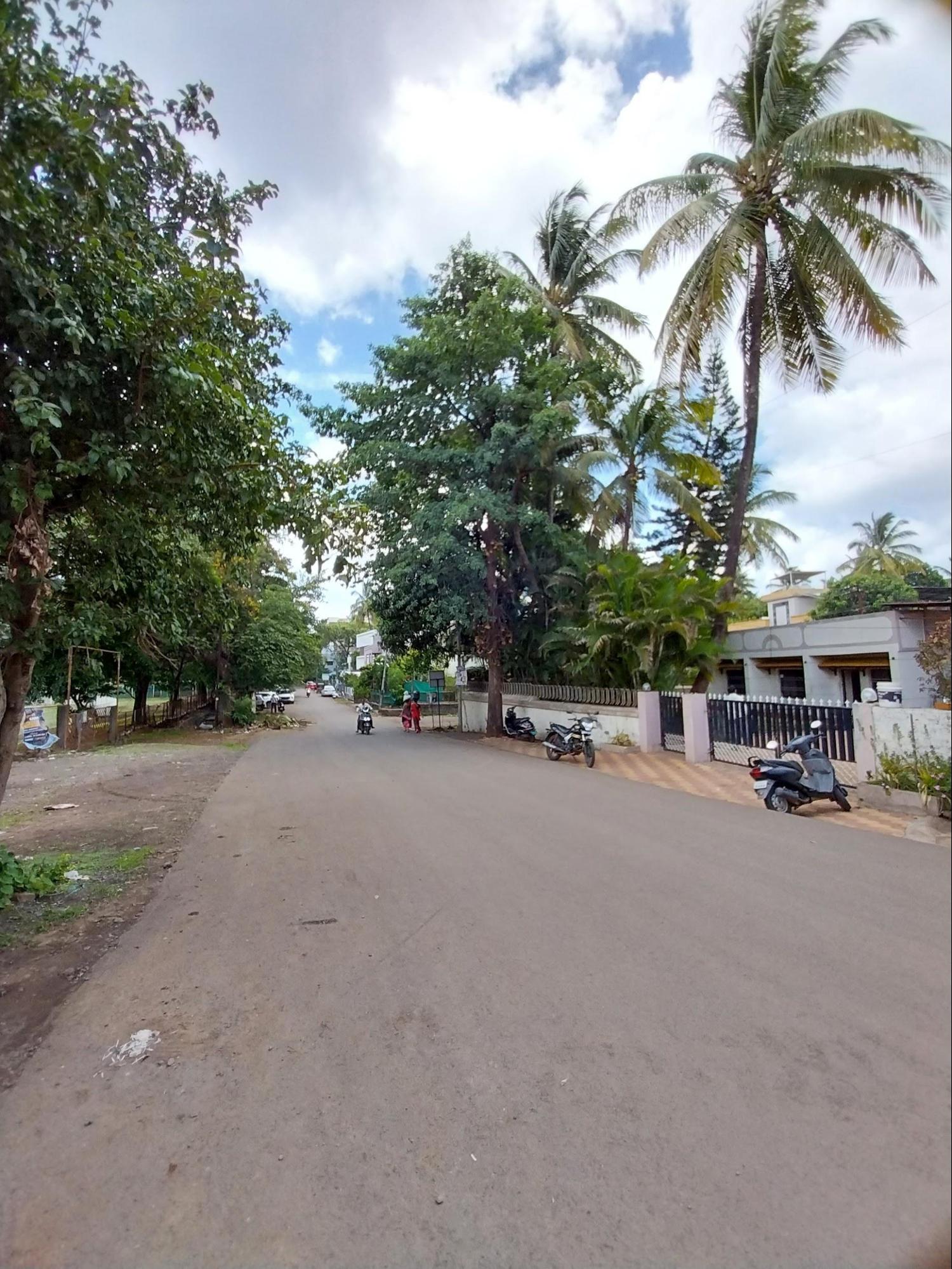 The street next to the house shows the quiet residential nature of the neighborhood with its tree-lined pathways. (Source: CKA Archives)