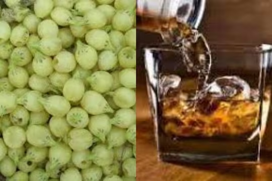 Tandyachi Mohachi Daru[3]