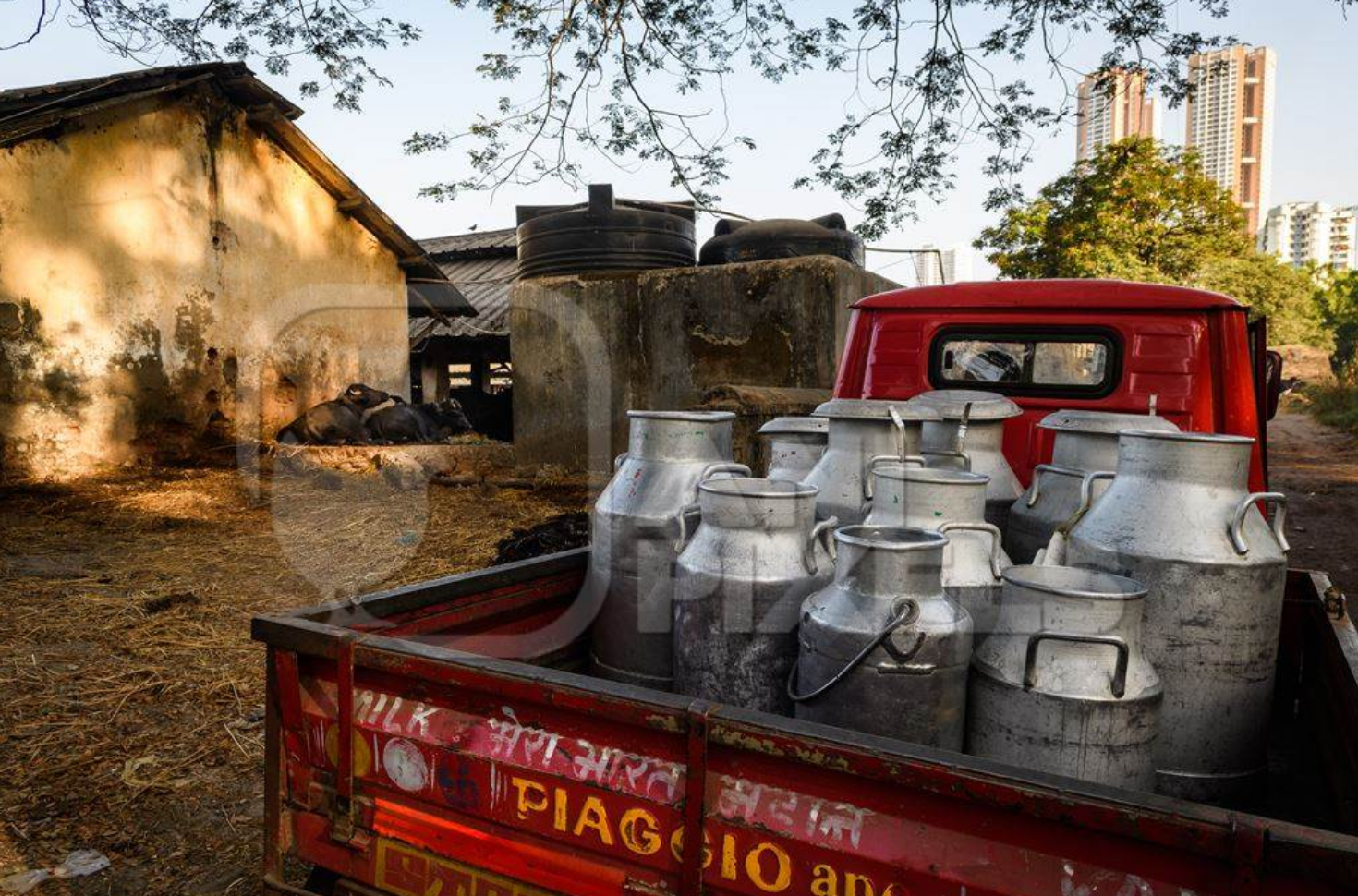Truck carrying Milk, Aarey Milk Colony[1]