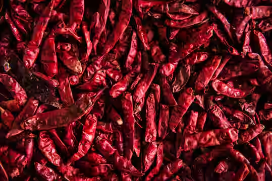 Nandurbar is a major chilli trading hub in Maharashtra; during the harvest season, the market fills with heaps of vibrant red chillies brought in by farmers.[2]