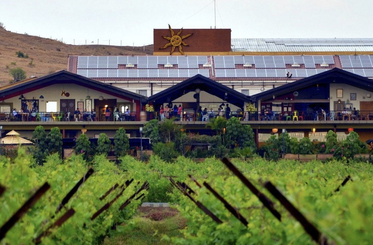 Sula Vineyards[16]