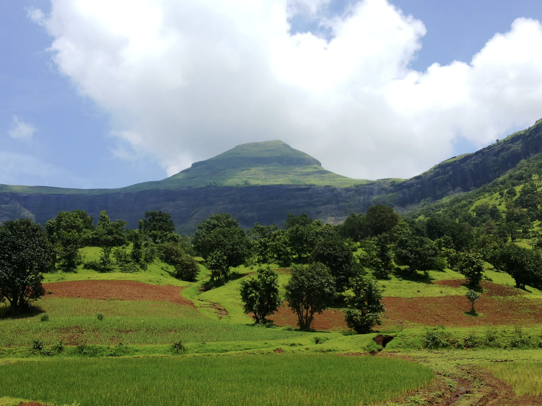 The five peaks of Brahmagiri Hill, symbolising the five mouths of Shiva, rise prominently above the Trimbakeshwar region.[1]