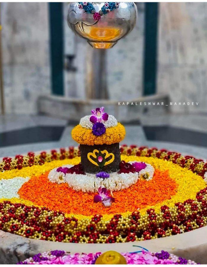 The Shivling at Kapaleshwar Mandir near Ramkund, Nashik.[7]
