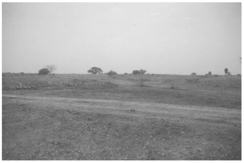 View of the site at Pandhari Tarf Navki, Purna taluka, associated with surface finds from both the Early Stone Age and early historic periods. Source: Bulletin of the Deccan College Post-Graduate and Research Institute
