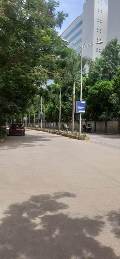 Wide, cemented internal roads of the township bordered by trees on both sides. (Source: CKA Archives)