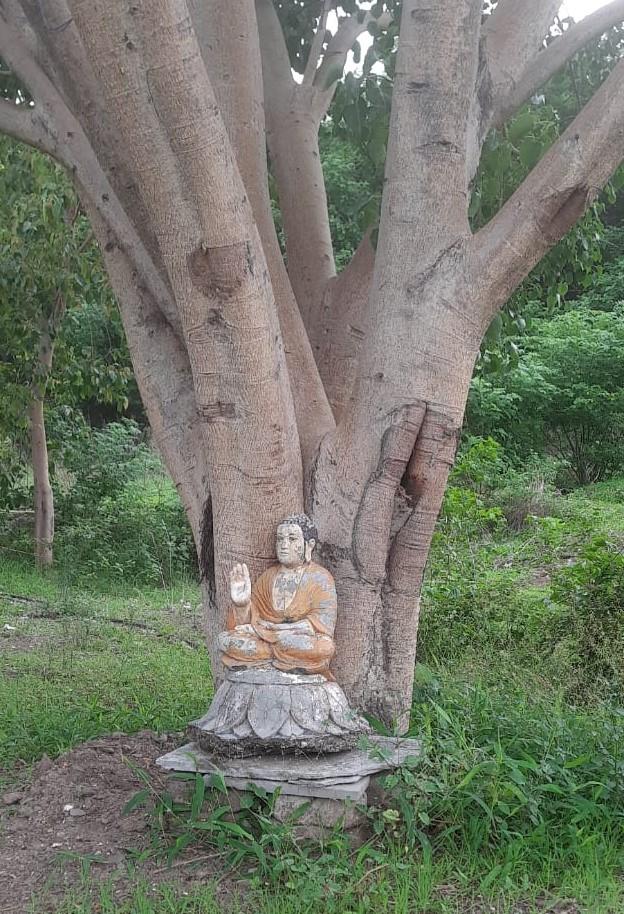 A smaller Buddha statue under a tree near the site. (Source: CKA Archives)