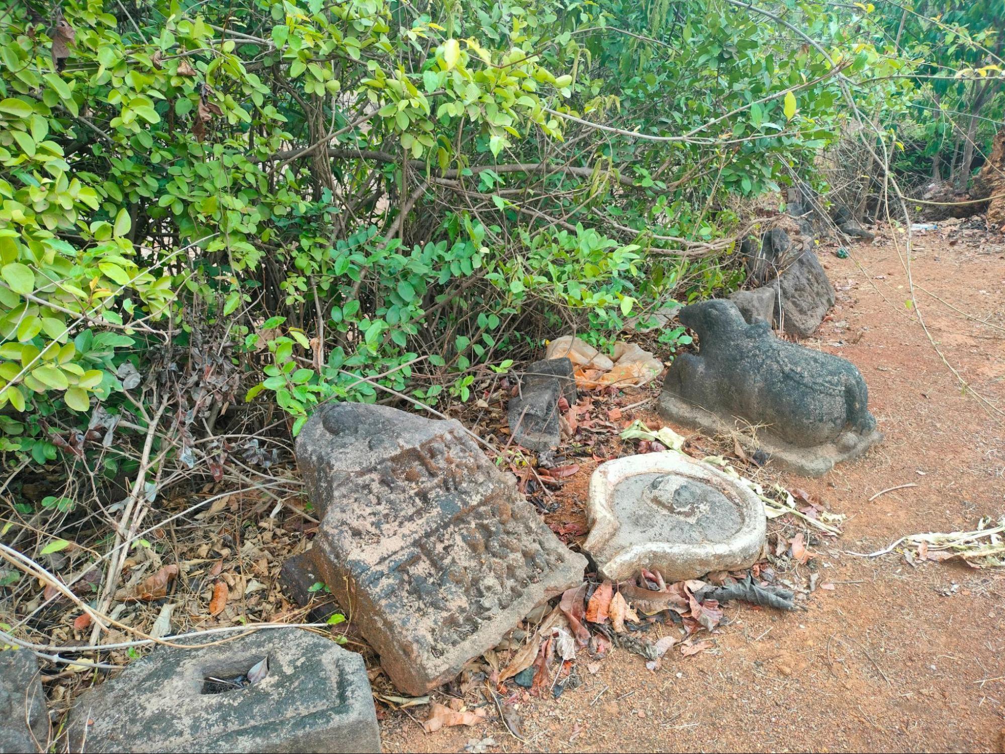 Archaeological remains found in Chandore village, including veergals, shivling, coins, and terracotta fragments, suggest its historical role as both a commemorative site and a point along trade routes. (Source: CKA Archives)