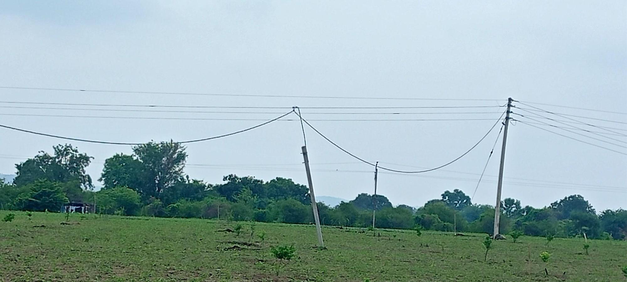 Electricity theft is being carried out with the help of extra poles. (Source: CKA Archives)