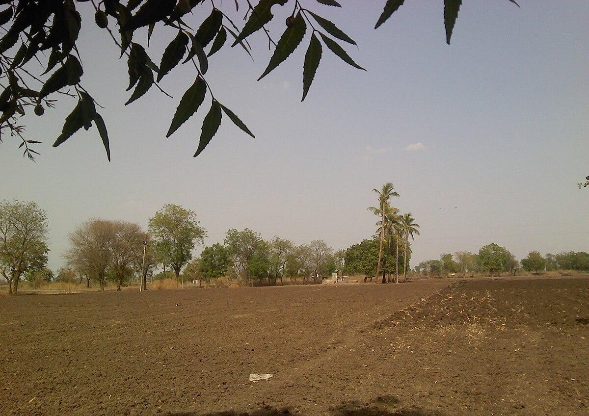 Farmland in Hingna Balapur