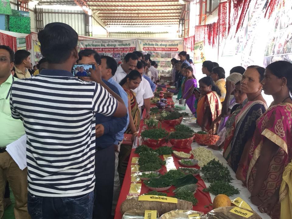 A stall of various “Ranbhaji” (wild vegetables) grown in Gadchiroli which is displayed at the Jambhul Ranbhaji Festival. (Source: CKA Archives)