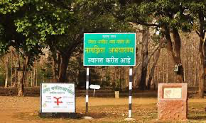 Nagzira Wildlife Sanctuary is situated in the Bhandara and Gondia districts and covers an area of approximately 152.81 square kilometers. Established in 1970, it was declared a wildlife sanctuary to protect its diverse flora and fauna.