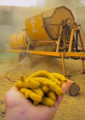 A turmeric polishing machine in action with its final product in the foreground. (Source: CKA Archives)