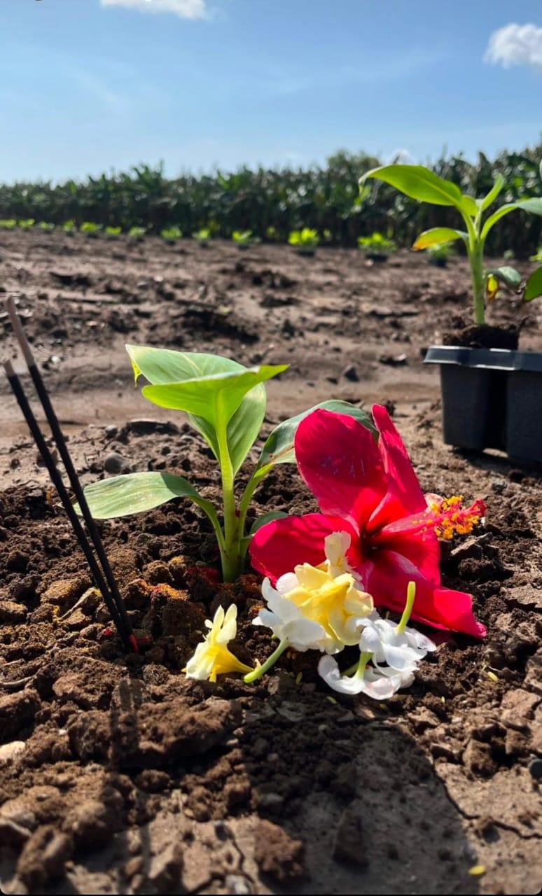 Flowers and offerings placed during Lagvadi chi Puja, a ritual marking the start of planting in Jalgaon.(Source: CKA Archives)