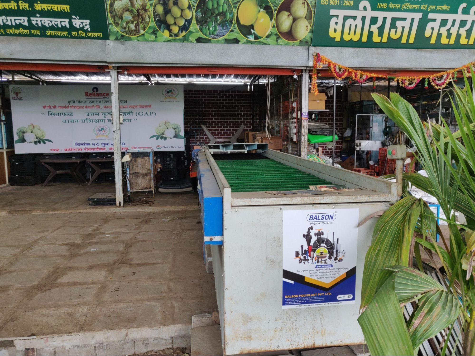 Nurseries play a vital role in the district’s agricultural set-up. (Source: CKA Archives)
