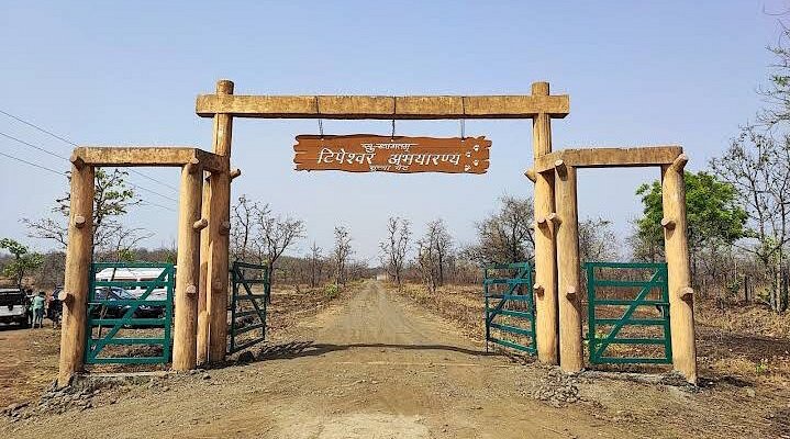 Chaprala Wildlife Sanctuary is situated in the Chamorshi Taluka of Gadchiroli district, Maharashtra. Spanning approximately 140 square kilometers, it features dense forest growth interspersed with occasional grasslands.