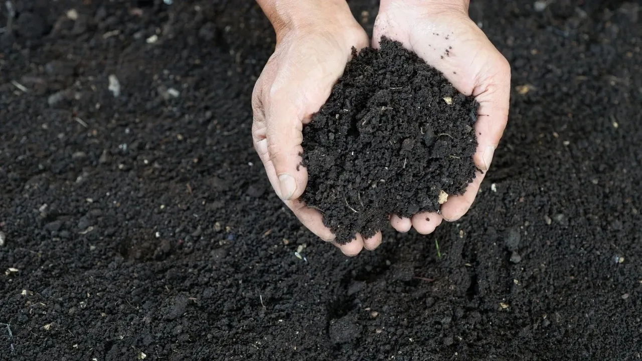 The weathering of basaltic rocks has resulted in the formation of the characteristic black cotton soil (regur) that covers much of the region. This soil type is rich in minerals like calcium carbonate and magnesium, directly reflecting its parent volcanic material.