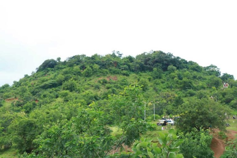 Hattibet Devarajan, Latur is known for its rich ethnobotanical heritage and traditional healing practices.[3]