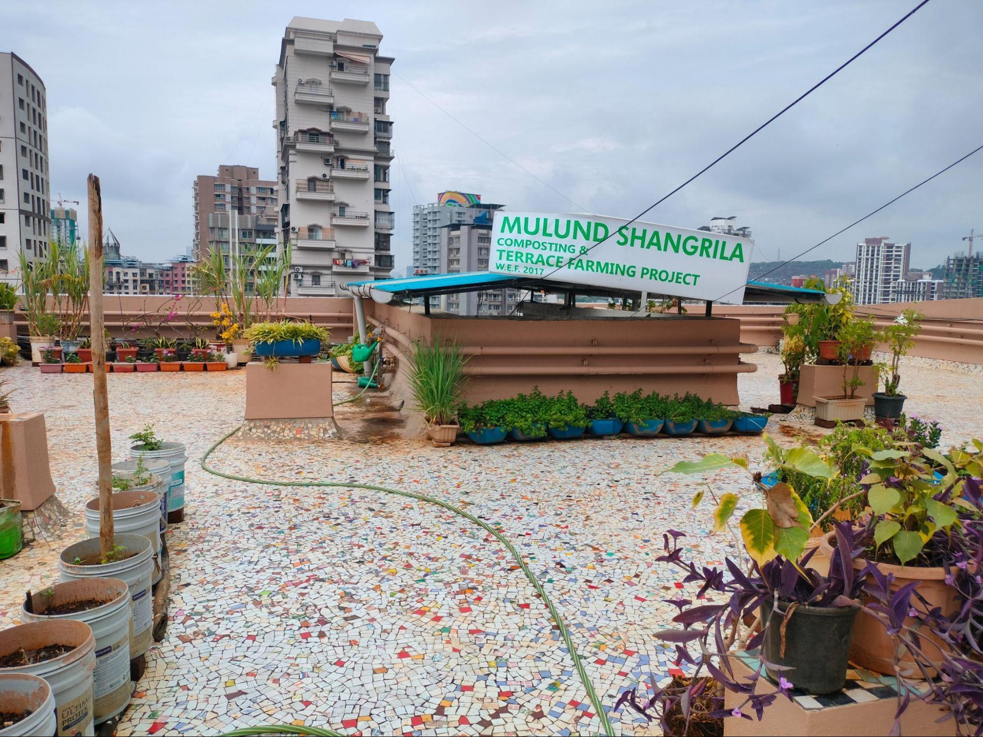 A view of her entire terrace farm with the sprawling cosmopolitan neighborhood in the background. (Source: CKA Archives)