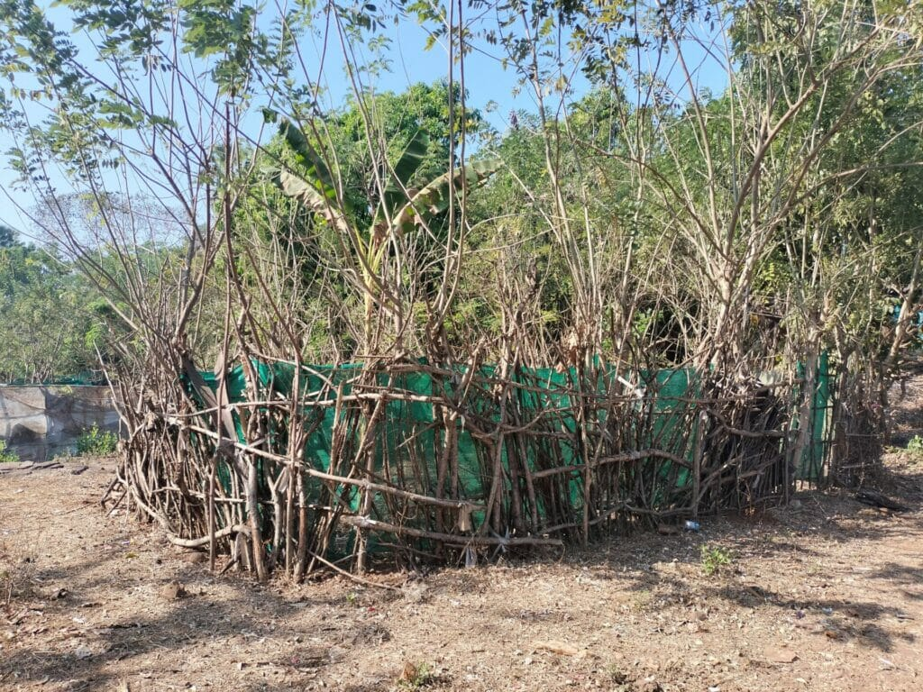 Wadi, a unique farming method that makes use of small plots carefully constructed from woven branches and cloth, designed for cultivating a variety of fruits and vegetables.
