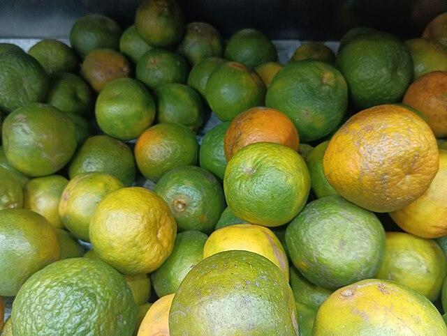 Ripe Nagpur Oranges are famous worldwide. Nagpur also received a GI tag for them in 2014