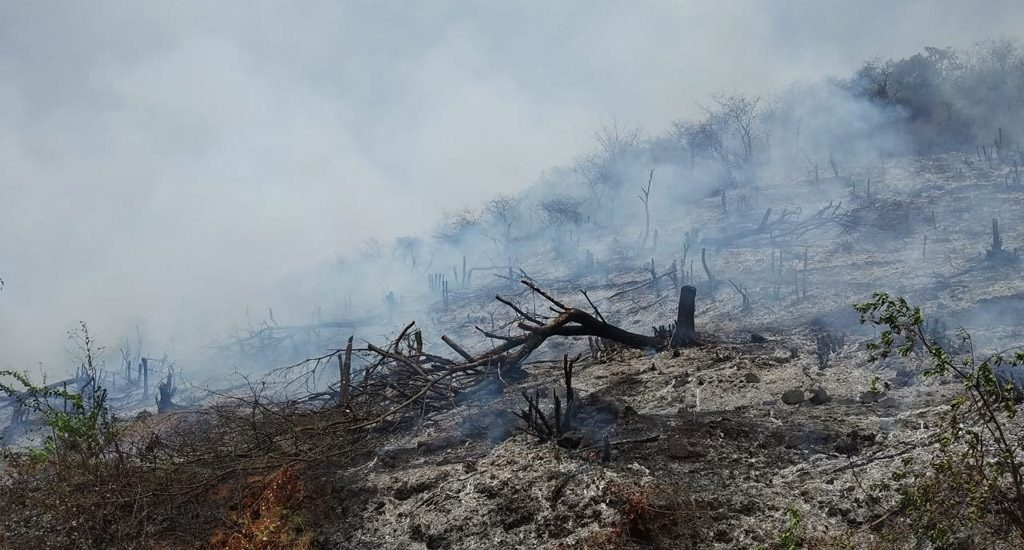 Slash and Burn agriculture is still practiced by a few farmers.