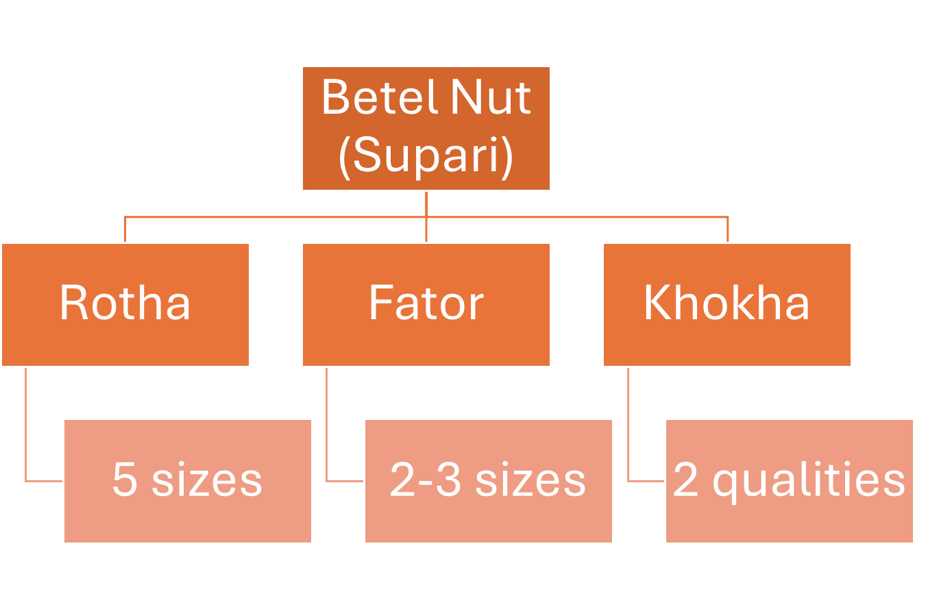 Betel Nut varieties in Shrivardhan taluka. (Source: CKA Archives)