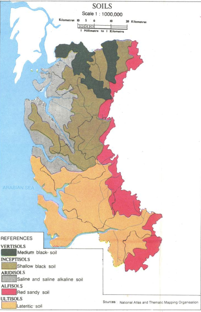 The alluvial soils in Raigad dominate along major rivers - Patalganga, Amba, and Kundalika. These deposits, composed of fine sand, silt, and clay, range from 3 to 9 meters in thickness and form the district's primary agricultural base.