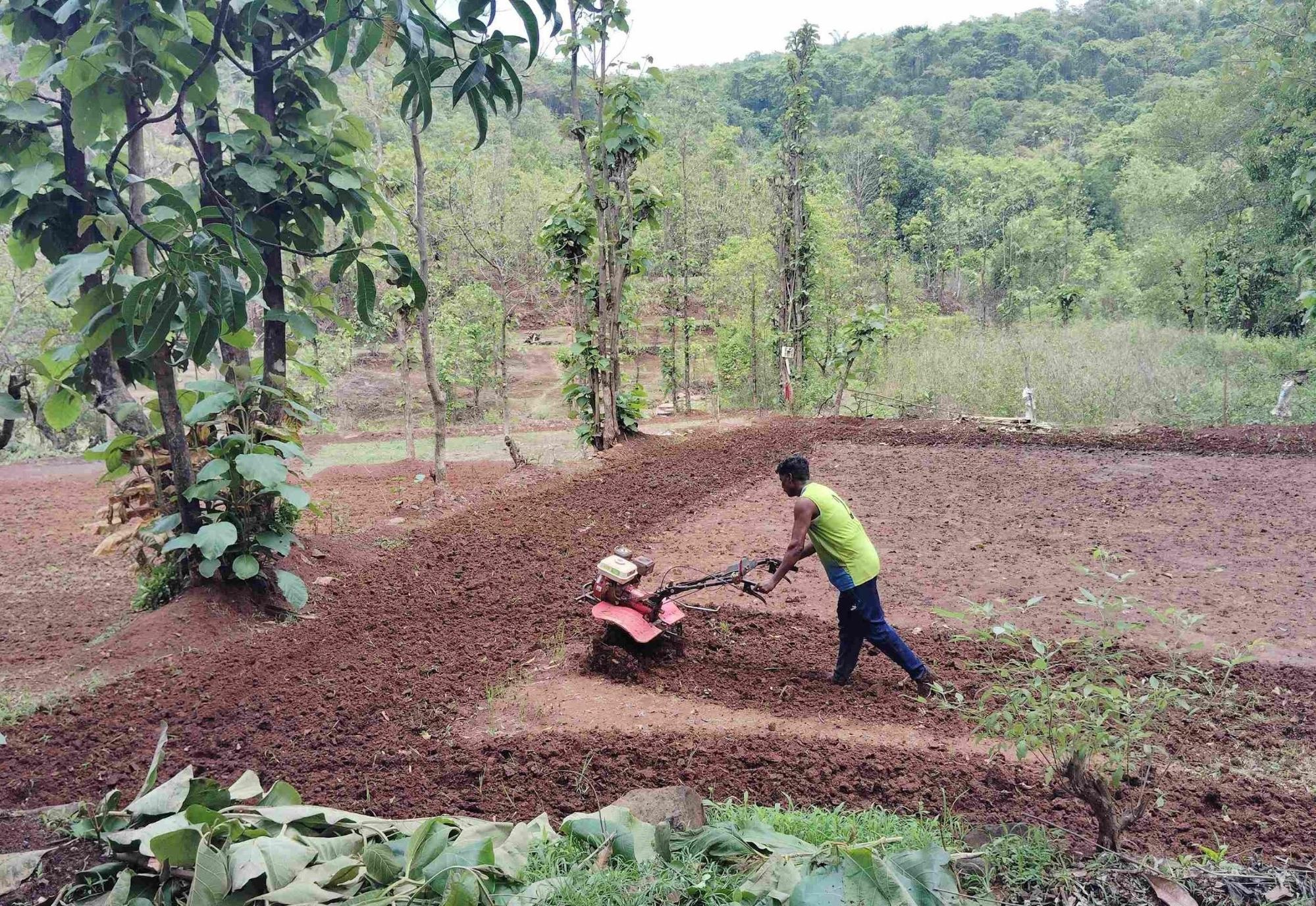 Small Tractor being used in Lote village of Khed Taluka. The usage of such implements has increased in recent years. (Source: CKA Archives)