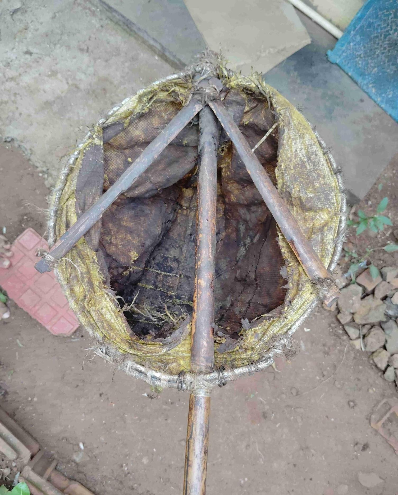 The Jhela is a locally made tool used for picking mangoes off the tree. (Source: CKA Archives)