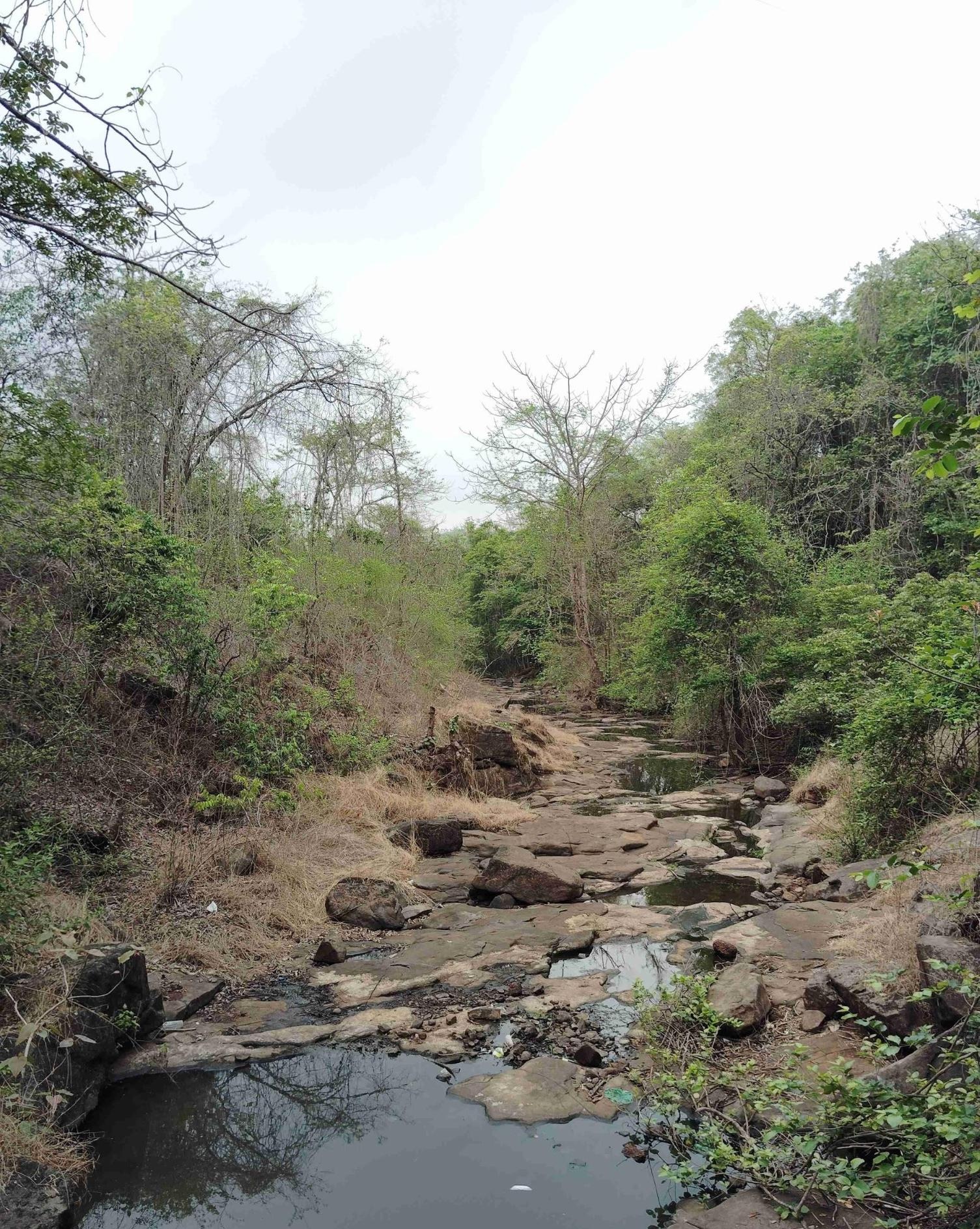 A Tributary creek of Vashishti during Summer (near Someshwar Temple), Chirani, Khed.  (Source: CKA Archives)