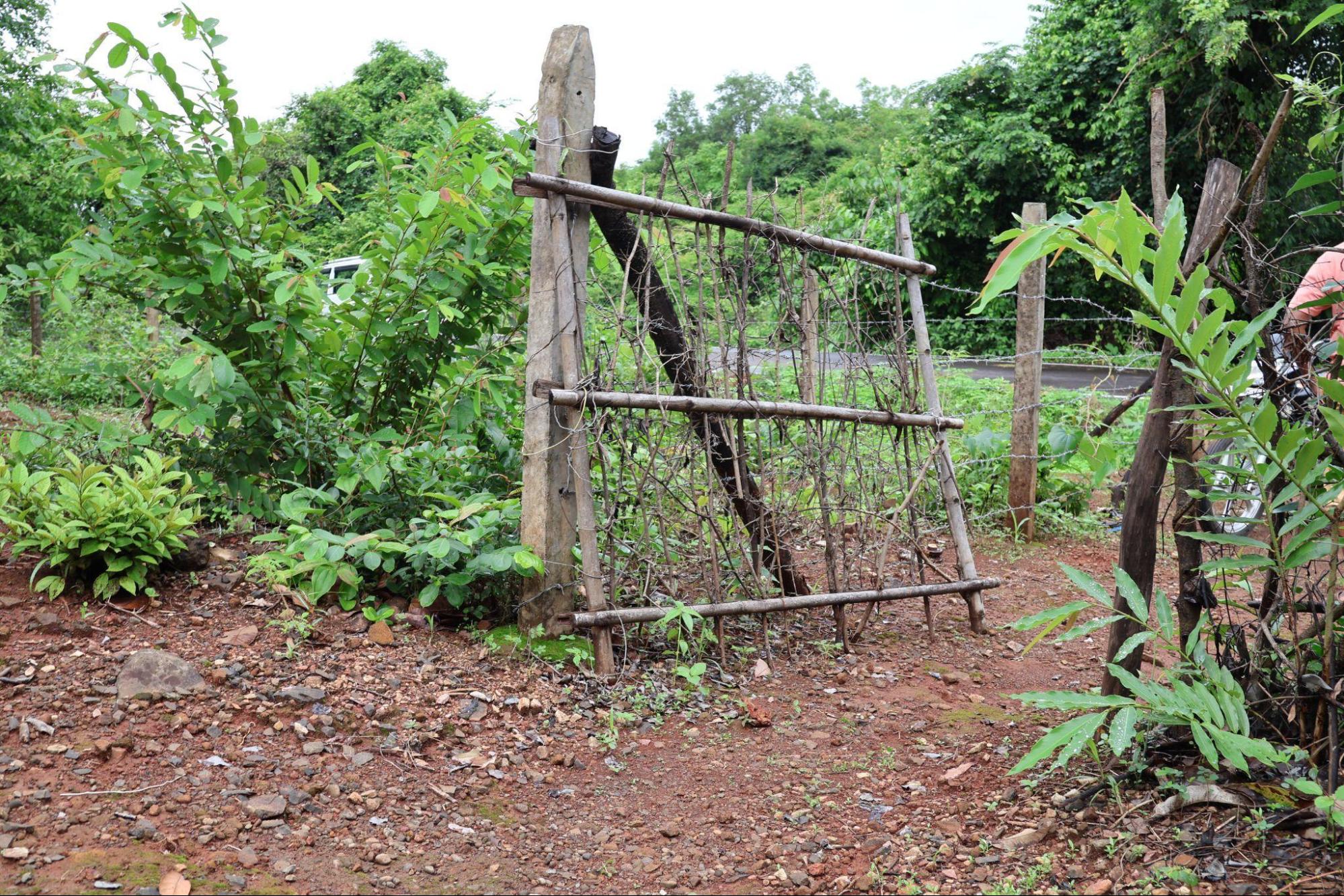Almost every farm is guarded with a makeshift gate like this. (Source: CKA Archives).