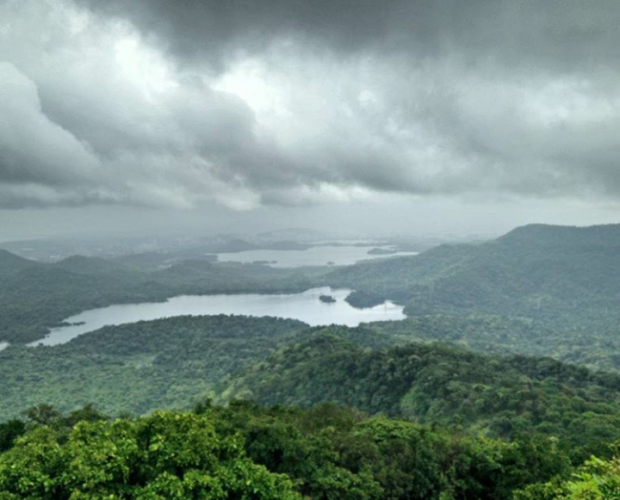 The Sanjay Gandhi National Park (SGNP), formerly known as Borivali National Park and Krishnagiri National Park, represents a unique protected area within the Mumbai metropolitan region. Located partially in Thane district, it covers an area of approximately 87 square kilometers. Its status as one of the world's largest national parks within city limits makes it particularly significant for urban biodiversity conservation.
