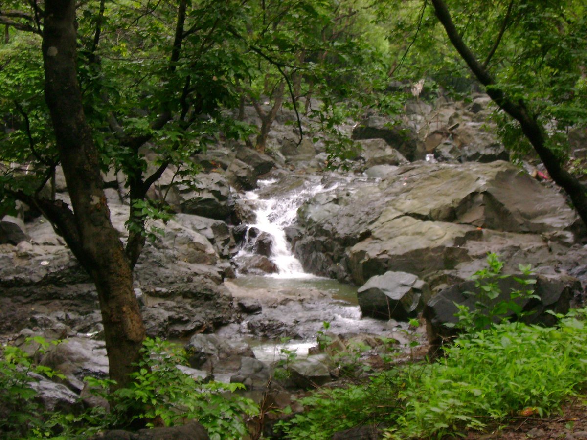 Tungareshwar Wildlife Sanctuary, established in 2003, covers an area of approximately 85.70 square kilometers in Thane district. The sanctuary connects Sanjay Gandhi National Park (SGNP) with other forest patches, serving as a vital wildlife corridor in an increasingly urbanized landscape.