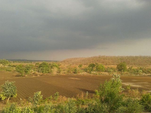 Farms in Ridhora, Wardha.