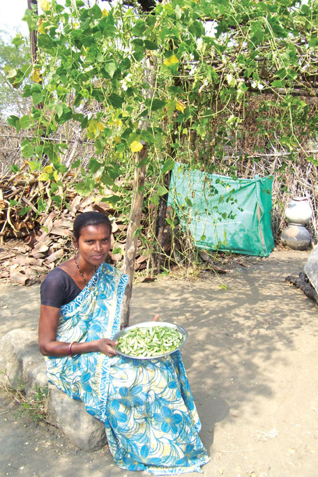 Kitchen garden plots cultivated by local families as part of the nutrition project in Wardha district.[4]